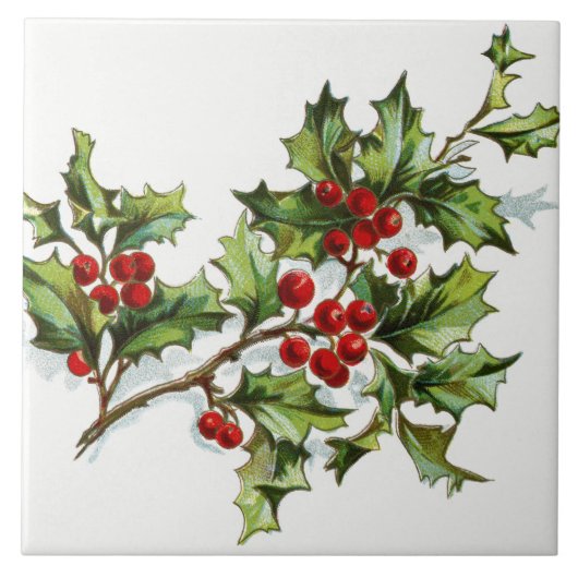 HollyBerries20150801 Fliese (Vorderseite)