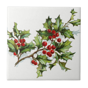 HollyBerries20150801 Fliese