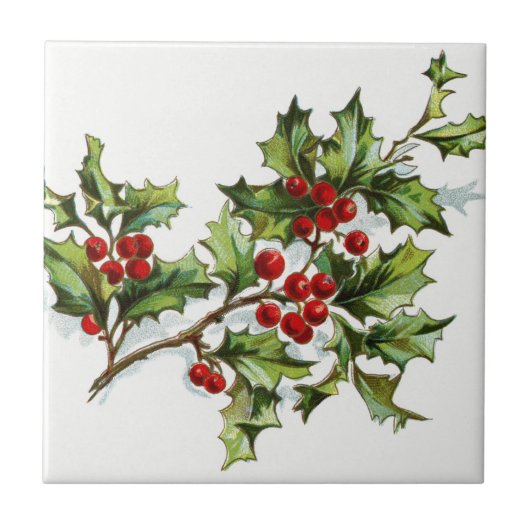 HollyBerries20150801 Fliese (Vorderseite)