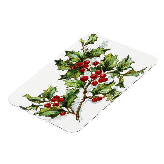 HollyBerries20150801 Magnet (Linke Seite)