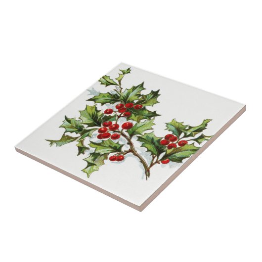 HollyBerries20150802 Fliese (Seite)