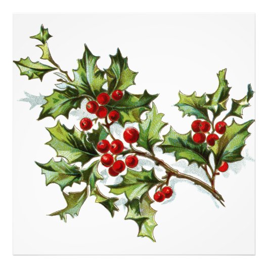 HollyBerries20150802 Fotodruck (Vorne)