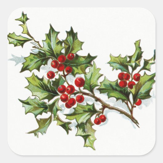 HollyBerries20150802 Quadratischer Aufkleber (Vorderseite)