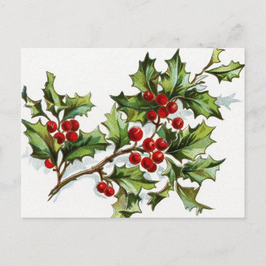 HollyBerries_001 Postkarte (Vorderseite)