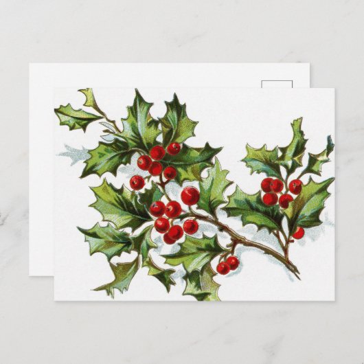 HollyBerries 002 Postkarte (Vorne/Hinten)