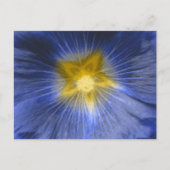 Hollyhock Blume Beautiful Blue Postcard Postkarte (Vorderseite)