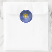 Hollyhock Blume Beautiful Blue Sticker (Tasche)