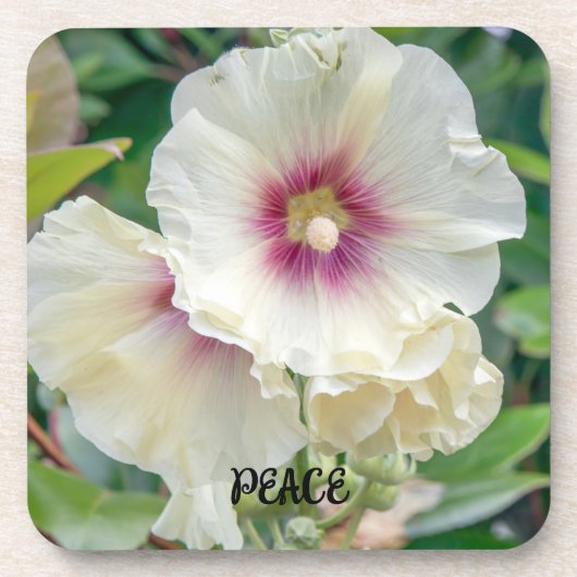 Hollyhock Blume Getränkeuntersetzer (Vorderseite)