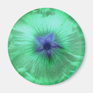 Hollyhock-Blume strahlt grünes Magnet