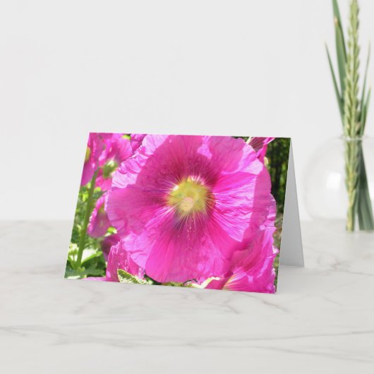 Hollyhock Card Karte (Vorderseite)