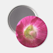 Hollyhock Deep Pink Magnet (Vorderseite/Rückseite)