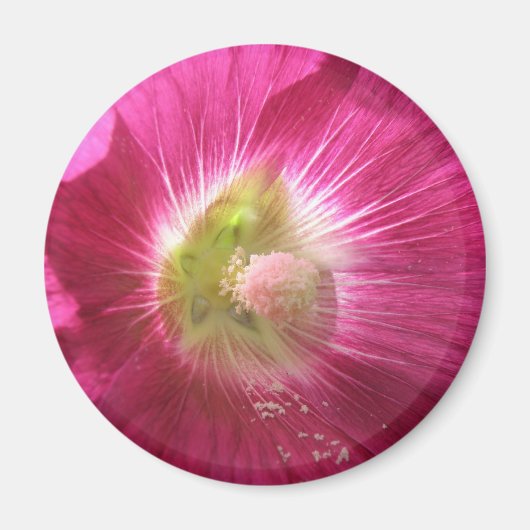 Hollyhock Deep Pink Magnet (Vorne)