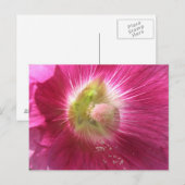 Hollyhock Deep Pink Postcard Postkarte (Vorne/Hinten)