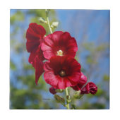 Hollyhock Fliese (Vorderseite)