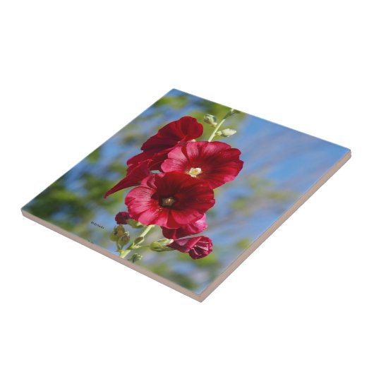 Hollyhock Fliese (Seite)