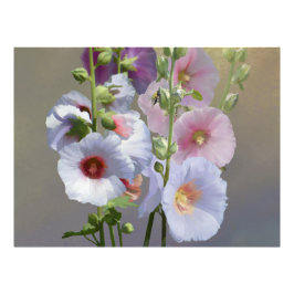 Hollyhock Grouping Fotodruck