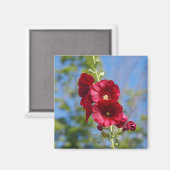Hollyhock-Magnet Magnet (Vorderseite/Rückseite)