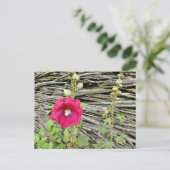 Hollyhock nach einem traditionellen ukrainischen Z Postkarte (Stehend Vorderseite)