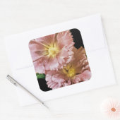 Hollyhock Vintag Seed Packet Quadratischer Aufkleber (Umschlag)