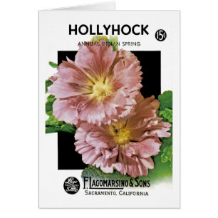 Hollyhock-Vintages Samen-Paket