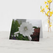 Hollyhockgrußkarte Karte (Gelbe Blume)