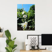 Hollyhocks Blume, Alcea Alba Poster (Heimbüro)