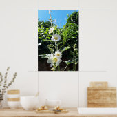Hollyhocks Blume, Alcea Alba Poster (Küche)