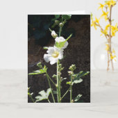 Hollyhocks-Blume Karte (Gelbe Blume)