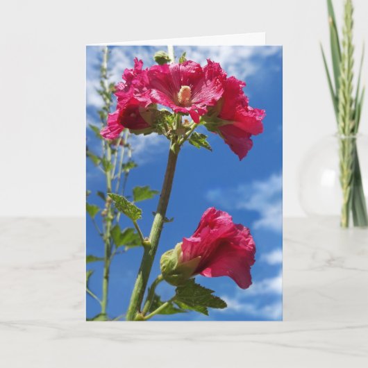 Hollyhocks-Blume Karte (Vorderseite)