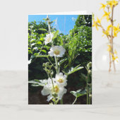 Hollyhocks-Blume Karte (Gelbe Blume)