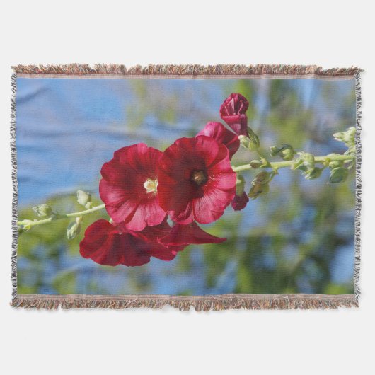 Hollyhocks-Deckengewebe Decke (Vorderseite)