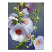 Hollyhocks - Digitale Malerei - Erweiterung des Fo