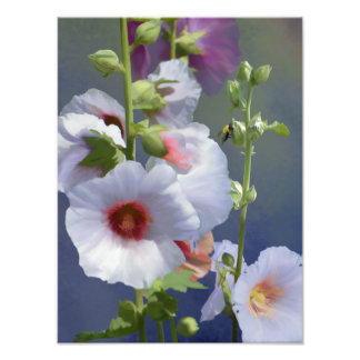 Hollyhocks - Digitale Malerei - Erweiterung des Fo Fotodruck