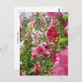 Hollyhocks: Japan Postcard Postkarte (Vorne/Hinten)