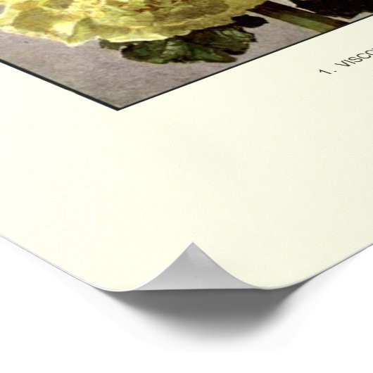 Hollyhocks Poster (Ecke)