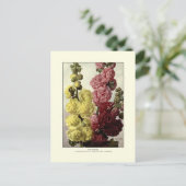 Hollyhocks Postkarte (Stehend Vorderseite)