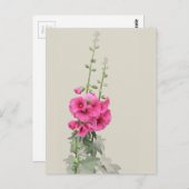 Hollyhocks Postkarte (Vorne/Hinten)