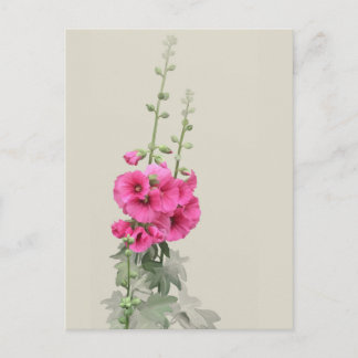 Hollyhocks Postkarte