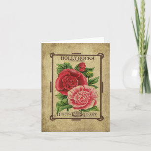 Hollyhocks-Samen Prim Lil Mitteilungskarten