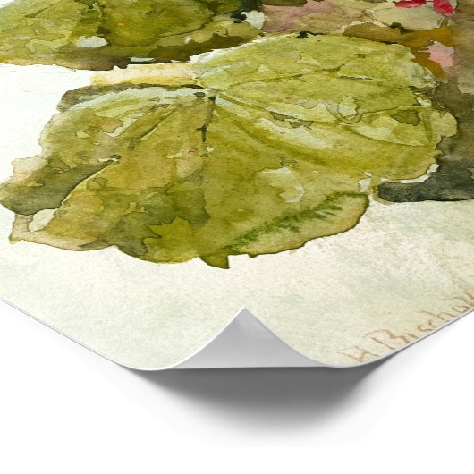 Hollyhocks von Franz Bischoff Poster (Ecke)