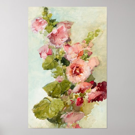 Hollyhocks von Franz Bischoff Poster (Vorne)