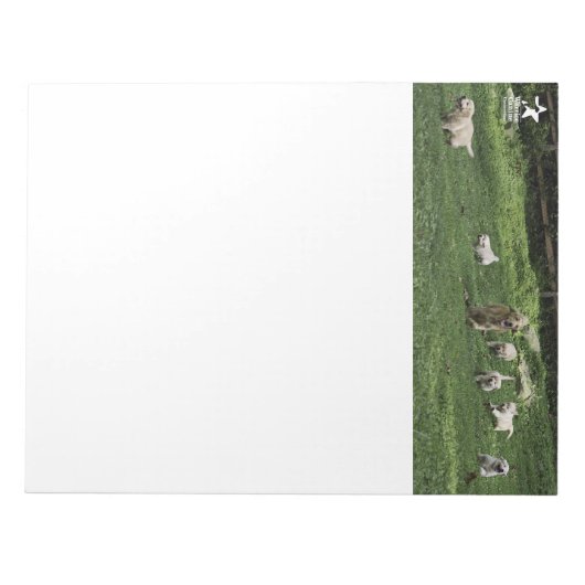 Holly's halbes Dutzend Romp-Notizblock Notizblock (Vorderseite)