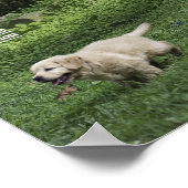 Holly's halbes Dutzend Romp Poster (Ecke)