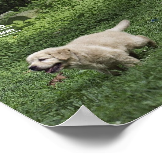 Holly's halbes Dutzend Romp Poster (Ecke)