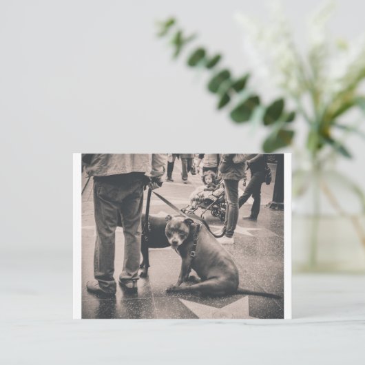 Hollywood Blvd Postkarte (Stehend Vorderseite)