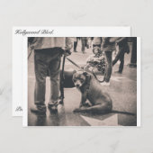 Hollywood Blvd Postkarte (Vorne/Hinten)