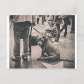 Hollywood Blvd Postkarte (Vorderseite)