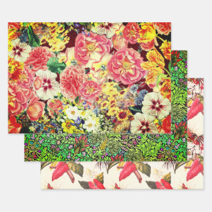 Hollywood Floral Botanischer Sampler Geschenkpapier Set
