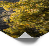 Hollywood-Plakat Poster (Ecke)