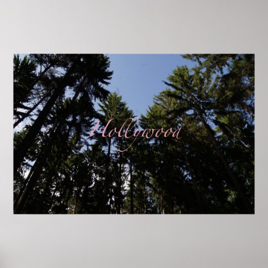 Hollywood Poster (Vorne)